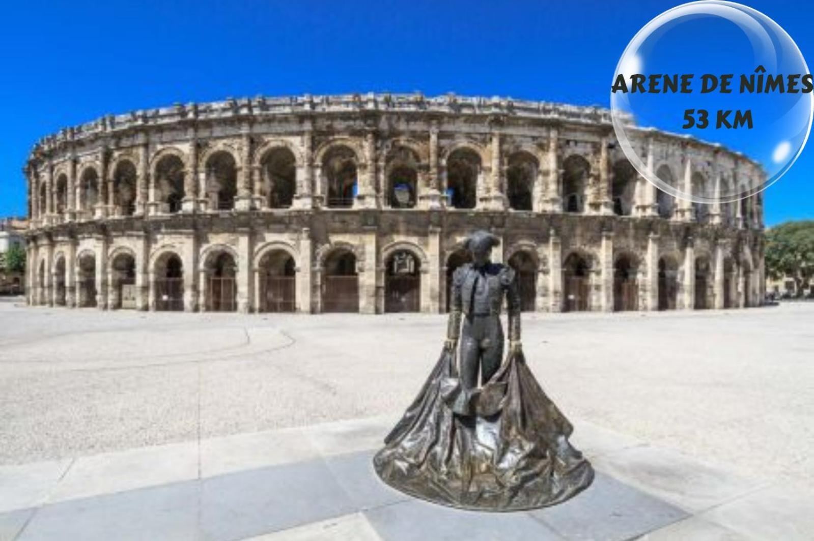 Le Cosy Du Gal, A 2 Pas Du Palais Des Papes Parking Gratuit Securise Daire Avinyon Dış mekan fotoğraf